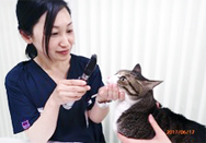 阿部理砂