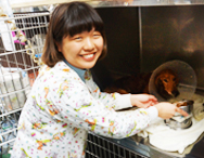 動物看護師 和田咲希