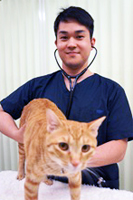 安 亮磨