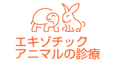 エキゾチックアニマルの診療