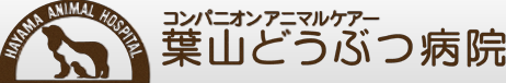 コンパニオンアニマルケアー葉山どうぶつ病院