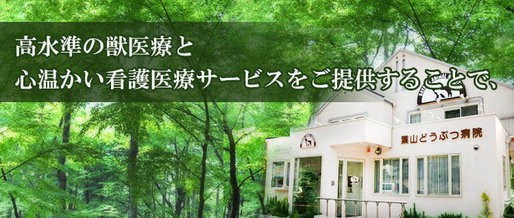 高水準の獣医療と 心温かい看護医療サービスをご提供することで、