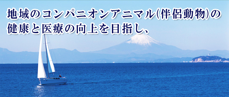 地域のコンパニオンアニマル(伴侶動物)の 健康と医療の向上を目指し、