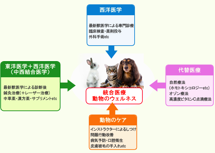 診療方針｜葉山・逗子・鎌倉の動物病院なら葉山どうぶつ病院